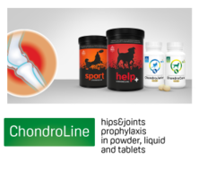 Chondroline