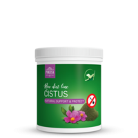 Cistus