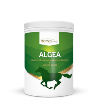HorseLine Algea