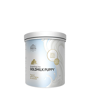 Goldmilk Puppy