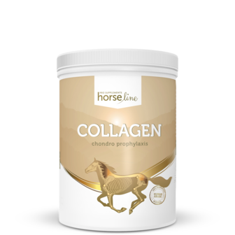 HorseLine Collagen