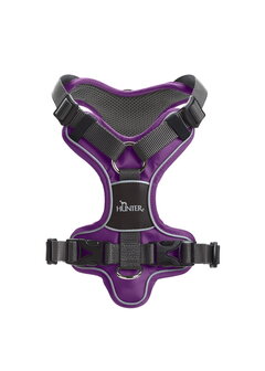 Geschirr Divo 56-73/M Nylon/Polyester, violett/grau