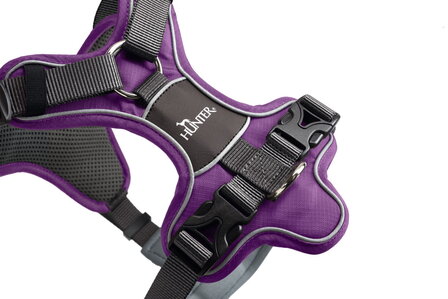 Geschirr Divo 45-56/S Nylon/Polyester, violett/grau