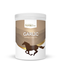 HorseLine Garlic