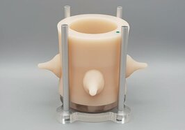 Large -Groen+Standaard